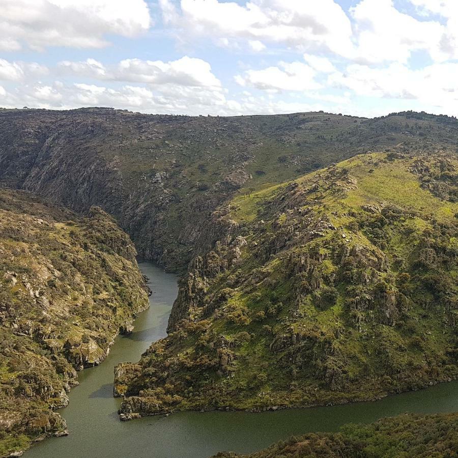 Flor Do Douro - Comercio E Hotelaria, Lda ميراندا دو دورو المظهر الخارجي الصورة